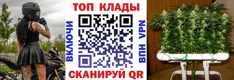 Где купить Жирновск АМФ  Alpha-PVP  Меф мяу мяу  ГАШ 