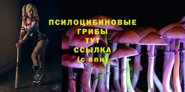 наркотики Гусь-Хрустальный