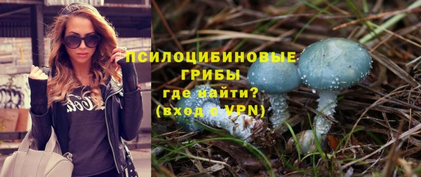 прущий лед Горно-Алтайск