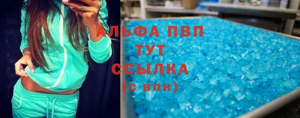 шишки Дмитров